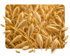 ingredient_image